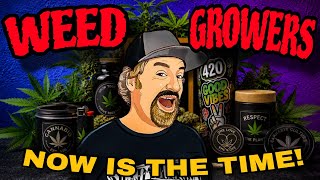 Cannabis Culture Is Still Alive… You Just Have to Know Where to Look