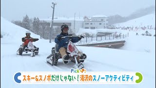 【進化するスキー場⛷】スキーやスノーボードが苦手でも楽しめる⁉新潟県湯沢町のスノーアクティビティ❄