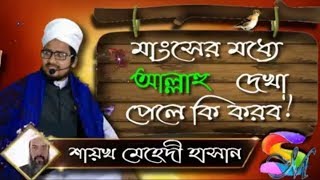 মাংসের মধ্যে আল্লাহু দেখা পেলে কি করব ᴴᴰ┇শায়খ মেহেদী হাসান1