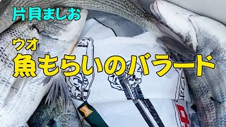 片貝ましお　千葉九十九里釣りと投網　-2022年12月4日/魚もらい師の真髄の巻-