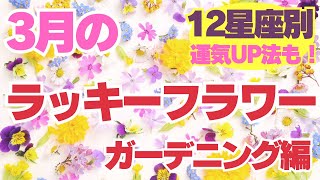 プロ占星術師でもある古屋が細かく占う！3月のラッキーフラワー　12星座別