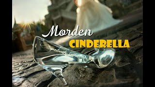 Modern Cinderella Story -- whatsapp status || PRINCESS || Funny Video