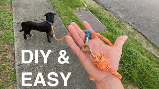 A different DIY dog leash