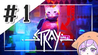 【STRAY】#1 人気の猫ゲー！サイバーパンクな世界で遊ぶ【女性実況】 PS5版※ネタバレ注意