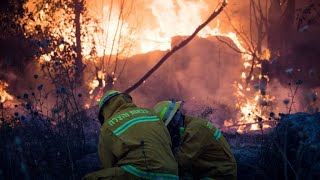 SPNI's plan to strengthen Israel in the face of the climate crisis