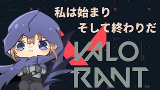 【Valorant】寝起きコンペ！シル1【W/コハク君】【新人Vtuber】