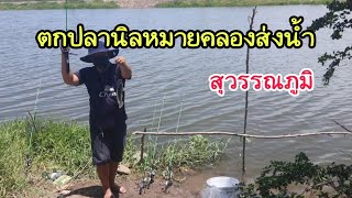 ตกปลานิลคลองส่งน้ำสุวรรณภูมิ