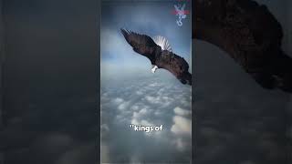 The Majestic Eagles Across Cultures #shorts