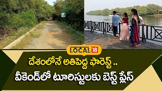 East Godavari: దేశంలోనే అతిపెద్ద ఫారెస్ట్ .. వీకెండ్ లో టూరిస్టులకు బెస్ట్ ప్లేస్.. | #local18