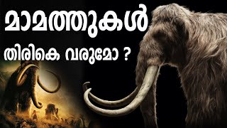 mammoth elephant malayalam | TellingHist