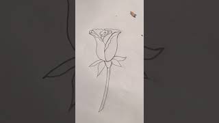 Beautiful flowers art #drawing #shorts #youtube #shortvideo #youtubeshorts