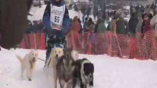 #55 Hugh Neff: 2009 Iditarod restart