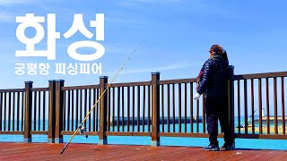 경기도 서해안 원투낚시 in 화성 궁평항 피싱피어 | 나참, 망둥이! shore fishing in Hwaseong, South Korea | Oh my goby