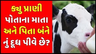 ક્યુ પ્રાણી પોતાના માતા અને પિતા બંને નું દૂધ પીવે છે? Gujarati Ukhana | Gujarati Paheli | ઉખાણા