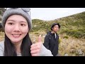 紐西蘭ep5｜蒂卡波 u0026庫克山🏔️這裡一定要去～～～看到滿天星空和銀河了！🌟