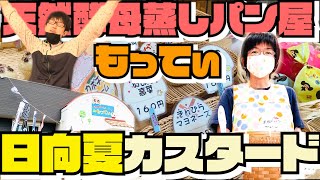 【宮崎県日向市テイクアウト商品】天然酵母蒸しパン屋もってぃの新作蒸しパン「日向夏カスタード」でアフタヌーン！