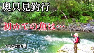 【渓流釣り】新しい竿で釣れたのは…【餌釣り】【檜枝岐・只見川本流釣り】