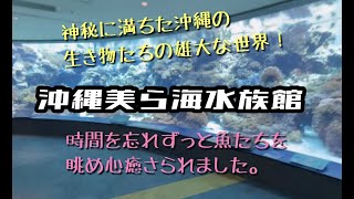 【沖縄 美ら海水族館】神秘に満ちた沖縄の生き物たちの雄大な世界が広がります。