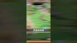 石器终于出手游了，郑州老玩家推荐，经典玩法原汁原味呈现！ !应用商店五星推荐,赶紧搜索《石器:原始纪元》下载