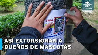 Extorsión y secuestro de mascotas en aumento, así operan algunas bandas