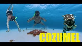 COZUMEL... A SNORKELLING DREAM!