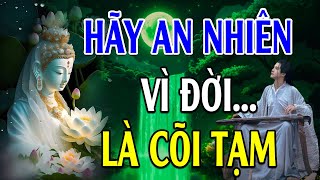 Hãy An Nhiên Vì Đời Là Cõi Tạm Cớ Làm Sao Phải Tự Khổ Chính Mình - Lời Phật Dạy Cực Hay