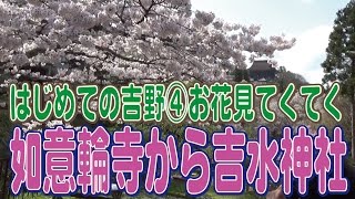 はじめての吉野④如意輪寺から吉水神社で一目千本桜