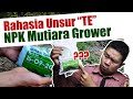 Jangan Salah Beli.❗❗❗ Review Tuntas Pupuk NPK Mutiara Grower, Waktu & Cara Aplikasi Pemupukan