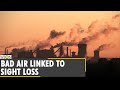 Air pollution likely to raise risk of sight loss | Bad air spikes age-related macular degeneration