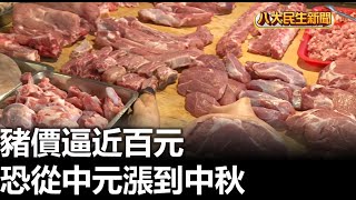 豬價逼近百元 恐從中元漲到中秋 |【民生八方事】| 2023081402 @gtvnews27