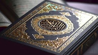 القرآن الكريم في 12 ساعة بصوت الشيخ سعد  الغامدي بدون اعلانات