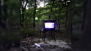 BONES - Branches [REMIX]