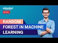 Random Forest in Machine Learning  | Machine Learning Training | Edureka  Live