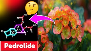 This Cutting-Edge Total Synthesis Will Change How You See Chemistry! (3D Visualization)