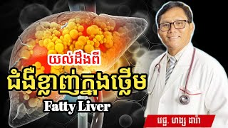 Fatty Liver ជំងឺខ្លាញ់ក្នុងថ្លើម | វេជ្ជ. ហង្ស ដារ៉ា