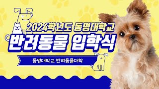 동명대학교 2024학년도 반려동물 신입생 입학식. 반려견들의 이색 대학 입학식 🐶