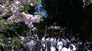 00016R5年4/23  散策  塩釜神社「花まつり」