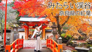 【奈良県】みたらい渓谷と洞川温泉の紅葉　旅行Vlog 生後9か月