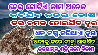 ଚେର ଗୋଟିଏ କାମ ଅନେକ। ଚମତ୍କାର କାମ ଏହି ଗଛ ଚେରର ଥରେ ନିଶ୍ଚୟ ଜାଣନ୍ତୁ।