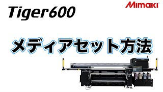 Tiger600　メディアセット方法