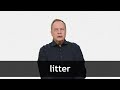 How to pronounce LITTER in American English