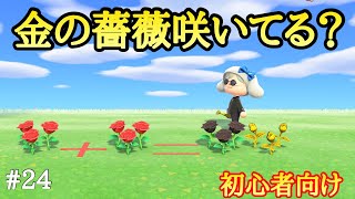 【あつ森】金のバラの作り方！超簡単だよ！初心者必見