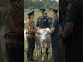 beautiful story of a cow 🐄 and bastard monkey 🐒 shorts ytshorts