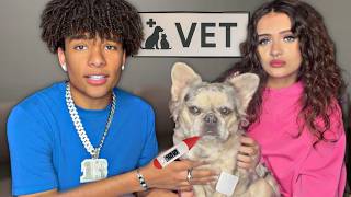 Emergency Vet Visit! (family vlog)