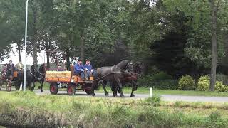 carriage koetsen tocht slochteren 2021 deel 1