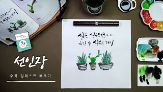 캘리그라피 그림 수묵 일러스트 그리기 #10 선인장 편 | 나빛의 수묵캘리그라피