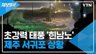 [태풍 힌남노] 초강력 태풍 '힌남노' 제주 서귀포 상황 / YTN