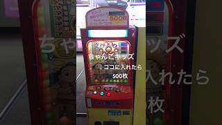 ちゃんこキッズ 全部入れたら500枚！パーフェクト #メダルゲーム #ちゃんこキッズ #shorts