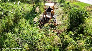 Fantastic Project Clearing Land Process Complete By Technique Skill Operator Bulldozer Fast Push