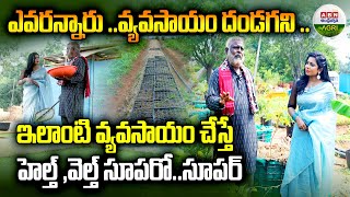 ఎవరన్నారు ..వ్యవసాయం దండగని?|  this kind of agriculture is Super agriculturel - ABN Agri #shorts